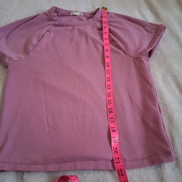 Madewell Women's Size Large Shaded Pink Raglan-Sleeve Baby Tee Shirt - Picture 9 of 9